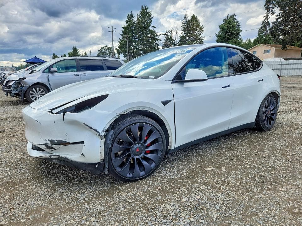 2022 TESLA MODEL Y - 1