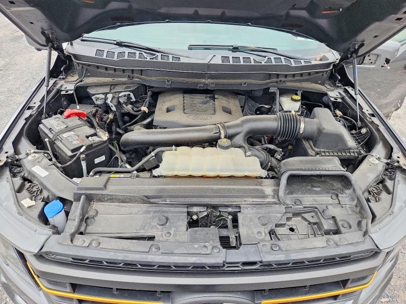 2023 FORD F150 11