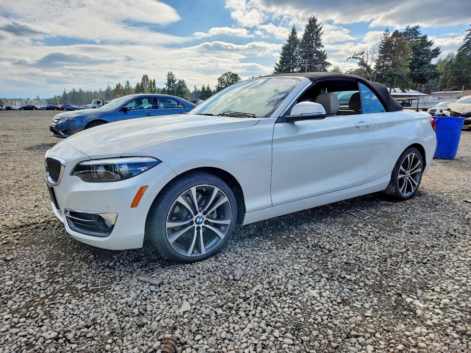 2019 BMW 230XI