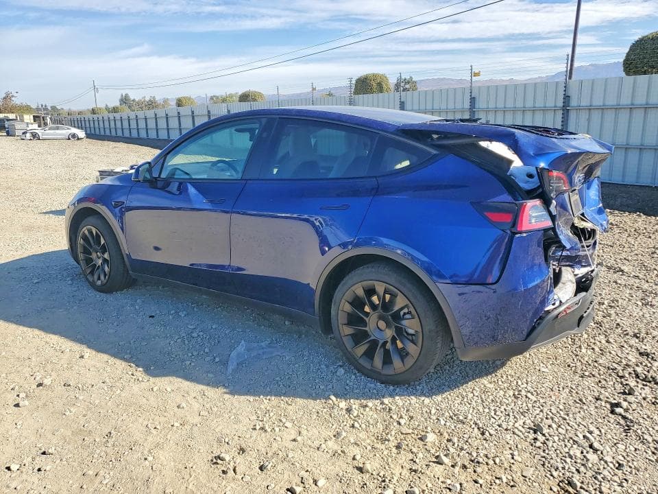 2024 TESLA MODEL Y 2