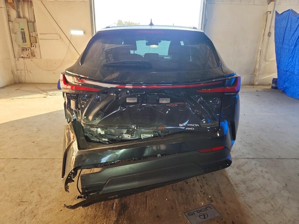 2024 LEXUS NX 350H LUXURY 6