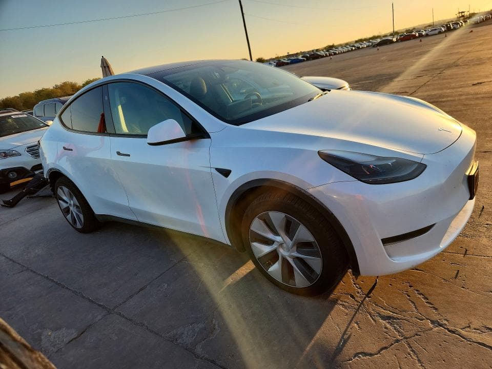 2024 TESLA MODEL Y 4