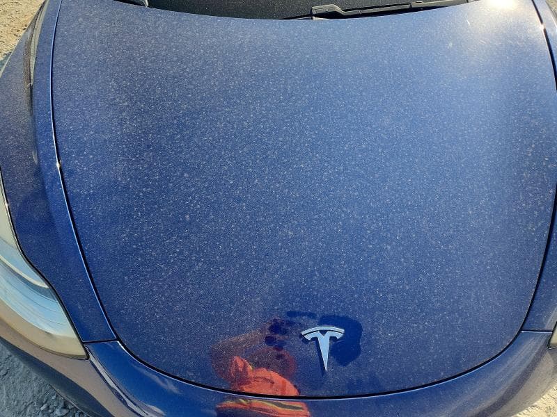 2019 TESLA MODEL 3 11