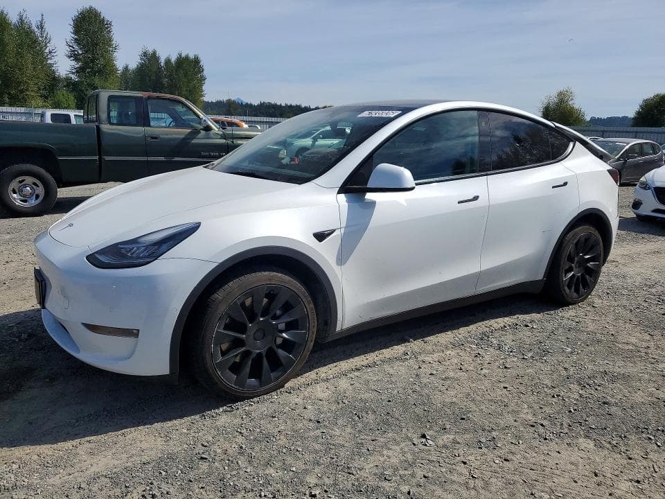 2022 TESLA MODEL Y - 1