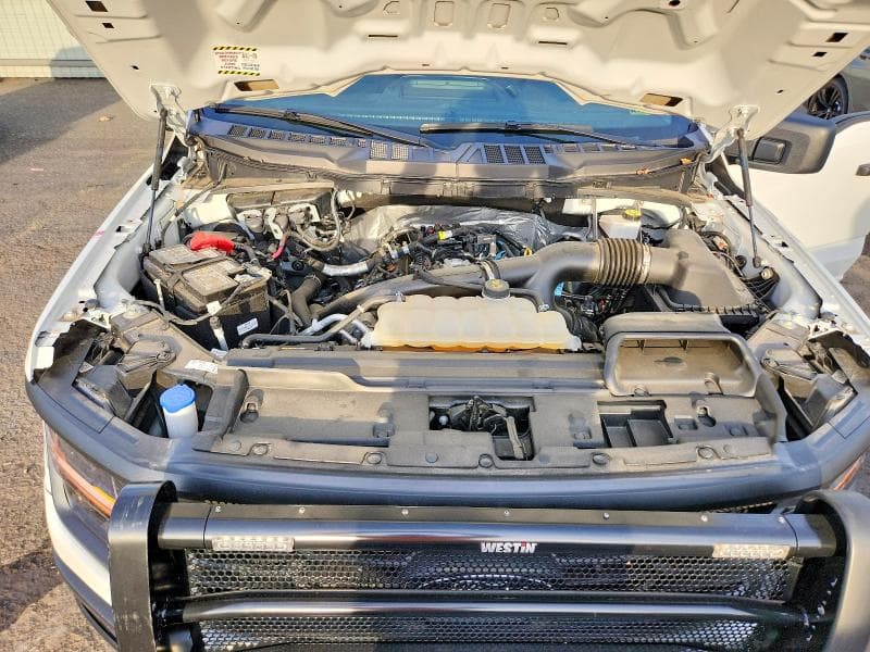 2024 FORD F150 XL 11