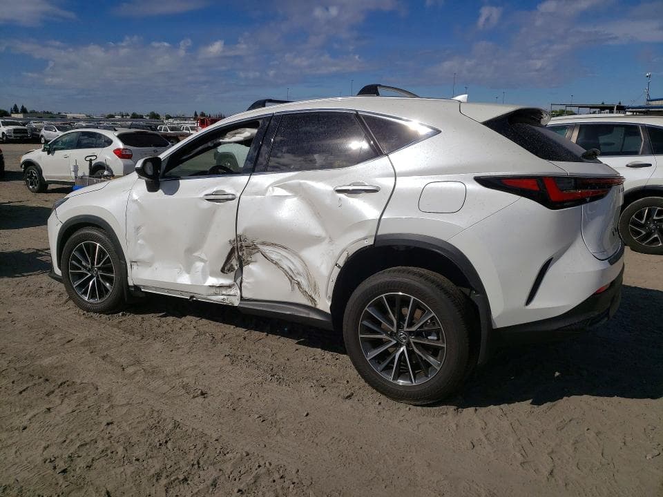 2025 LEXUS NX 350H PREMIUM 2
