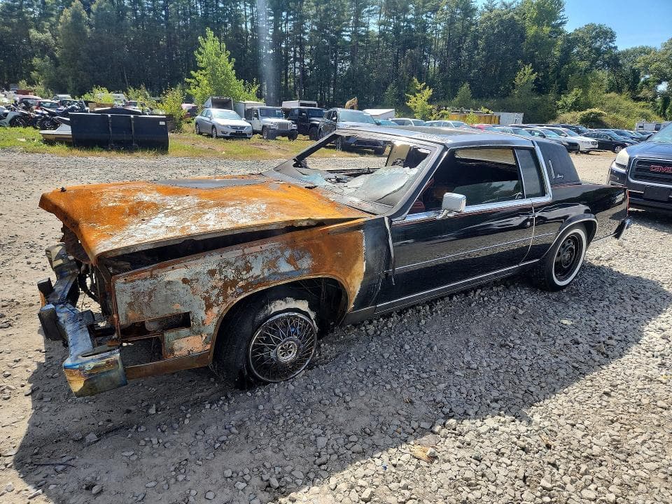 1981 CADILLAC ELDORADO - 1