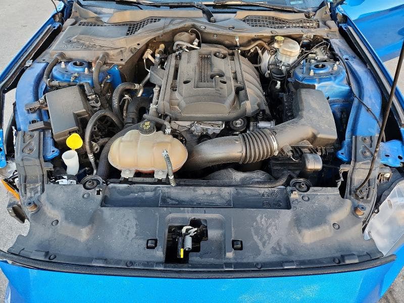 2019 FORD MUSTANG 11