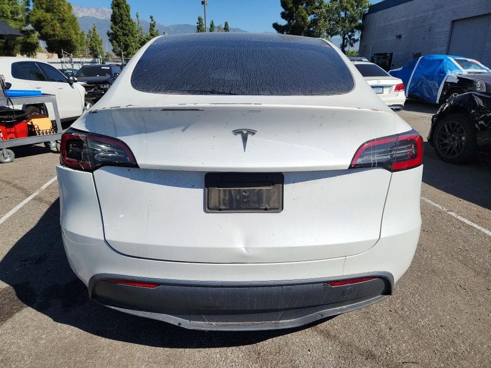 2021 TESLA MODEL Y 6