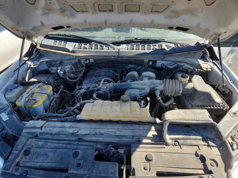 2019 FORD F150 11