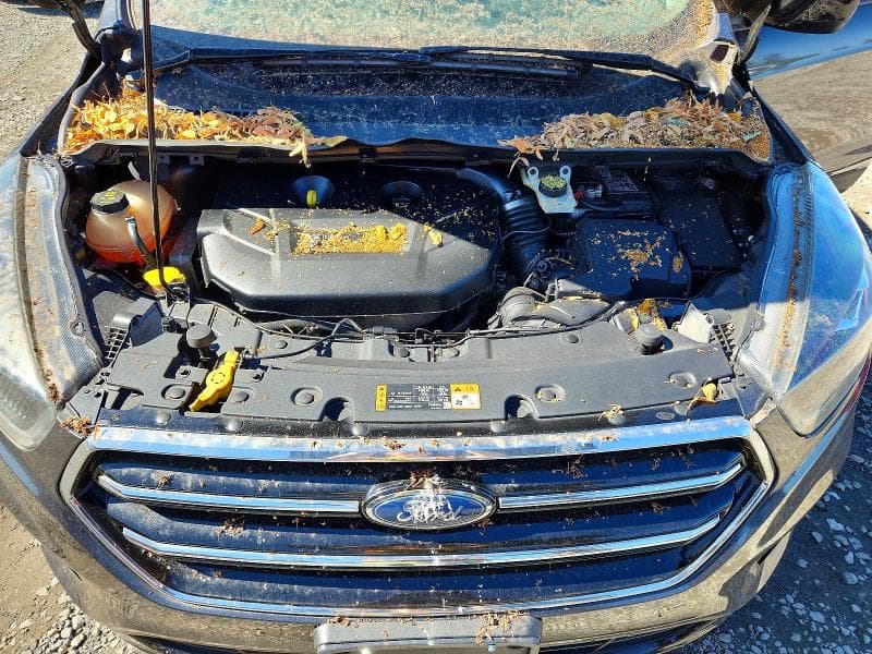 2017 FORD ESCAPE SE 12