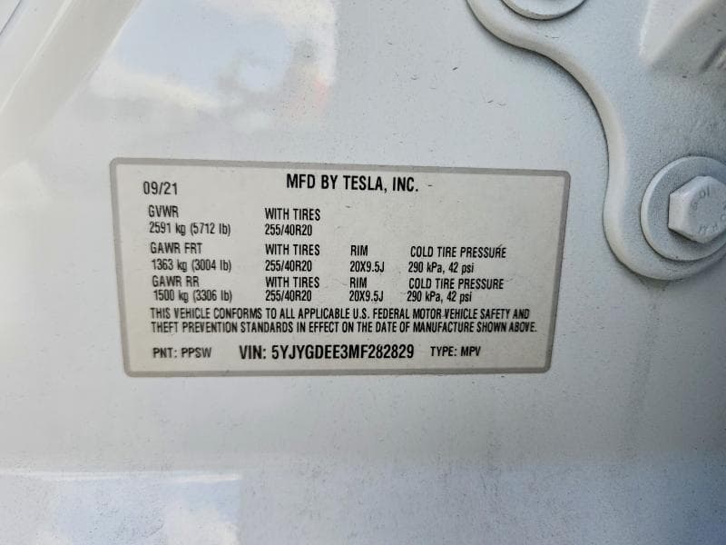 2021 TESLA MODEL Y 12