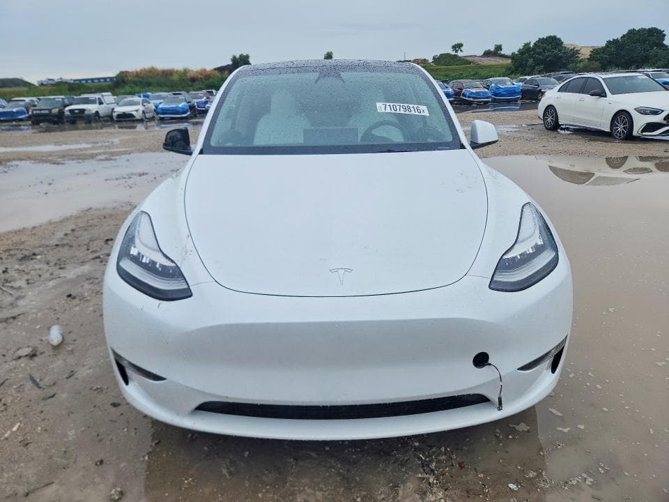 2023 TESLA MODEL Y 5