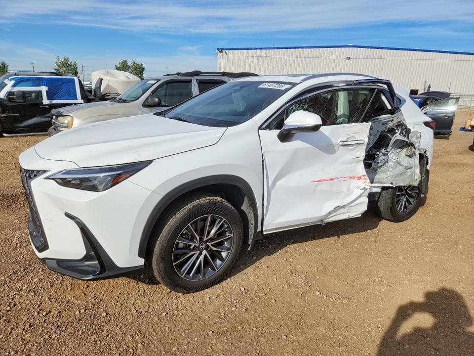 2026 LEXUS NX350 - 1