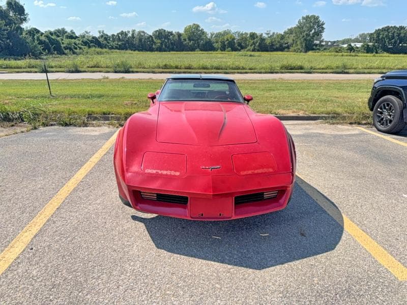 1981 CHEVROLET CORVETTE 11