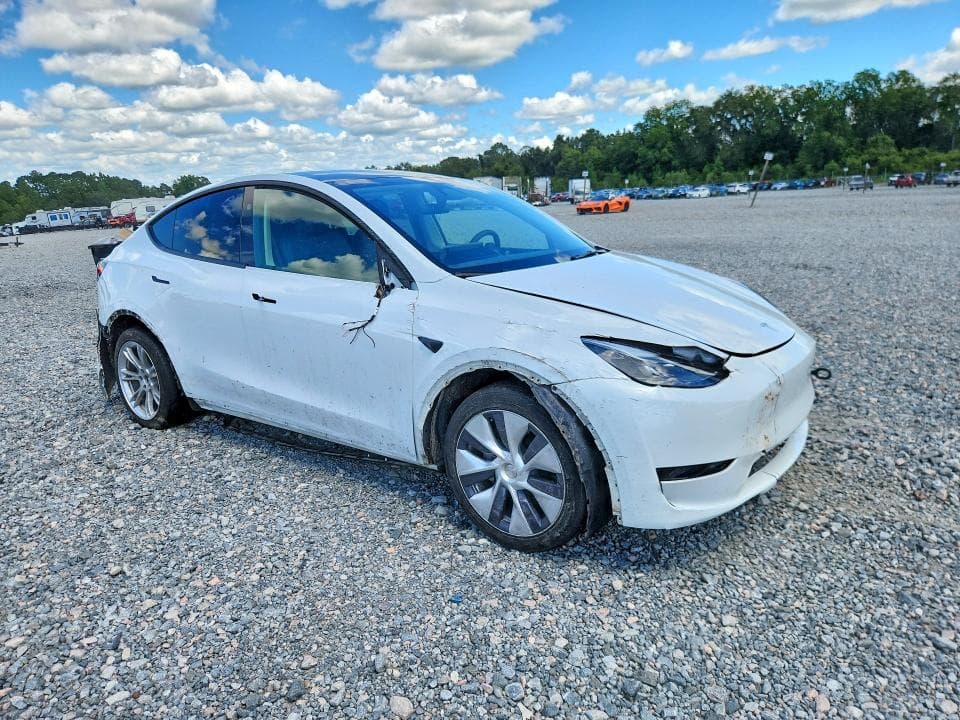 2024 TESLA MODEL Y 4