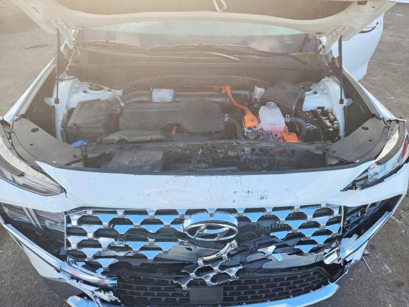 2023 HYUNDAI SANTA FE BLUE 11
