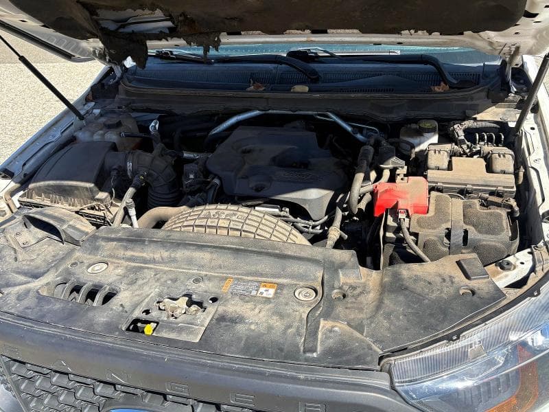 2019 FORD RANGER XL 7