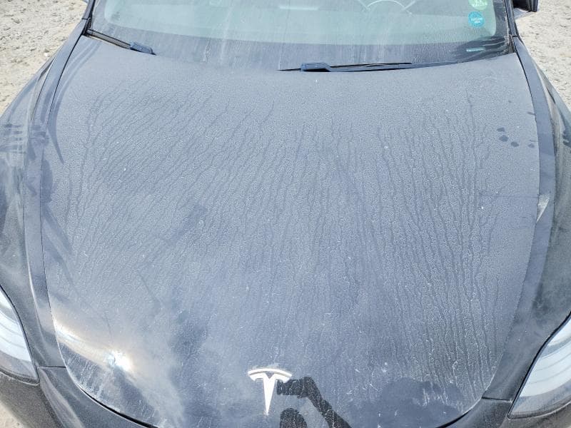 2019 TESLA MODEL 3 11