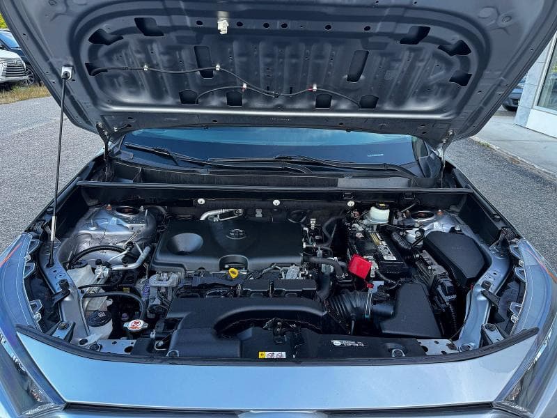 2019 TOYOTA RAV4 LE 7