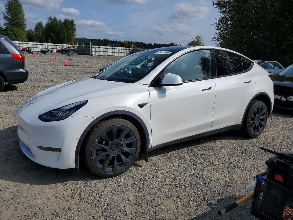 2022 TESLA MODEL Y - 1