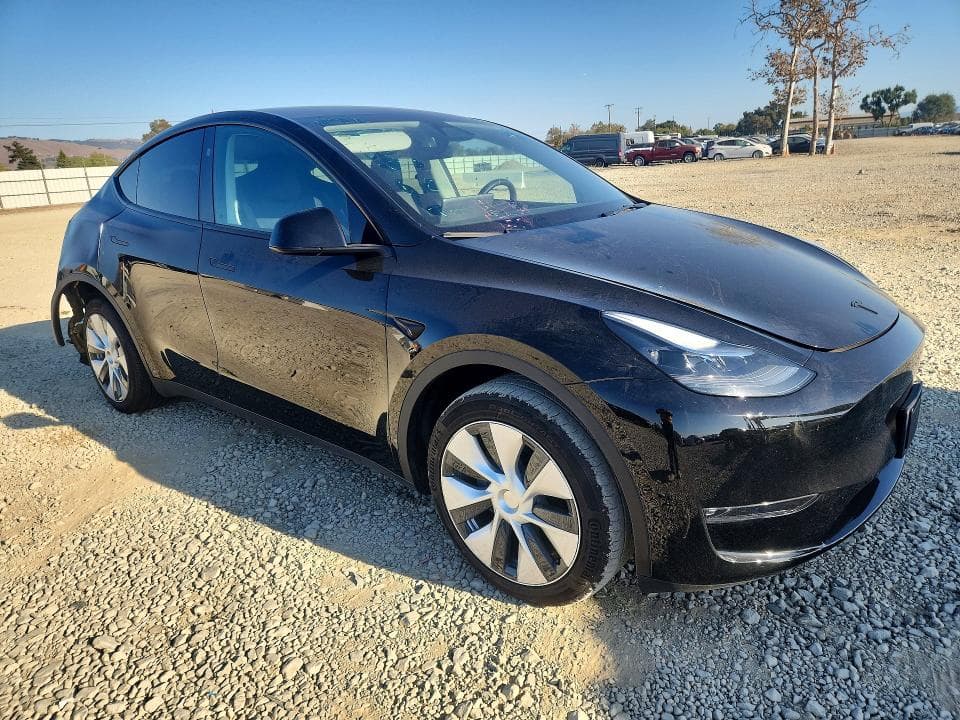 2024 TESLA MODEL Y 4