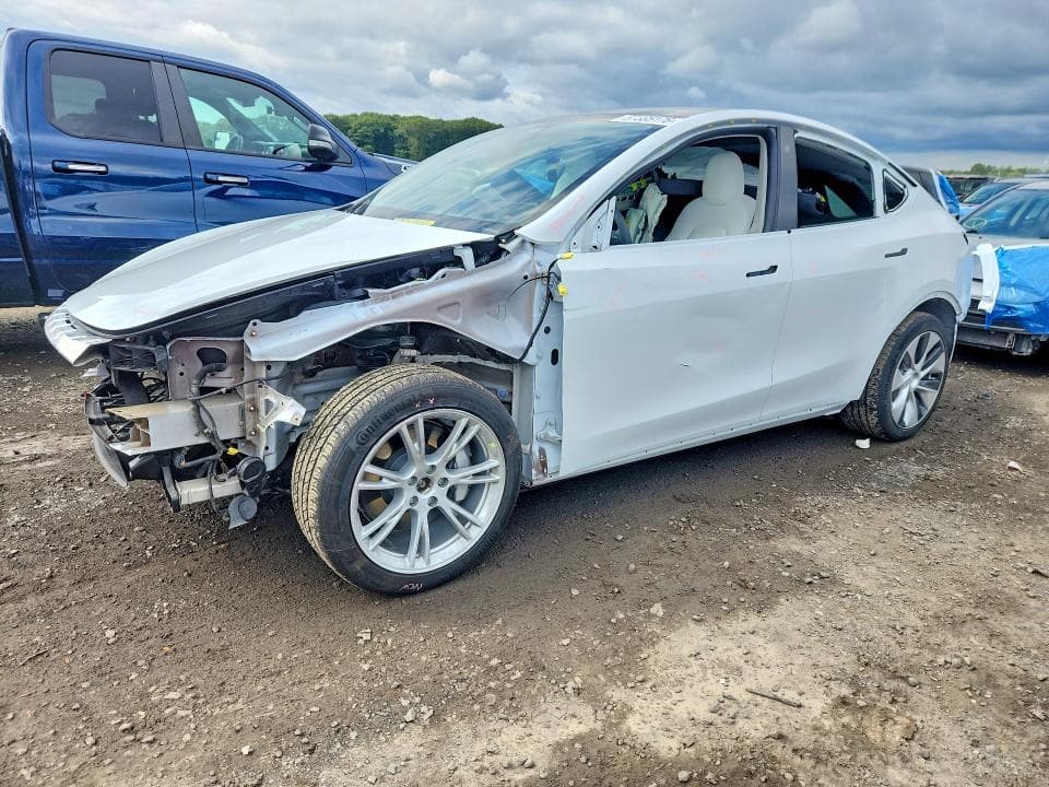 2022 TESLA MODEL Y - 1