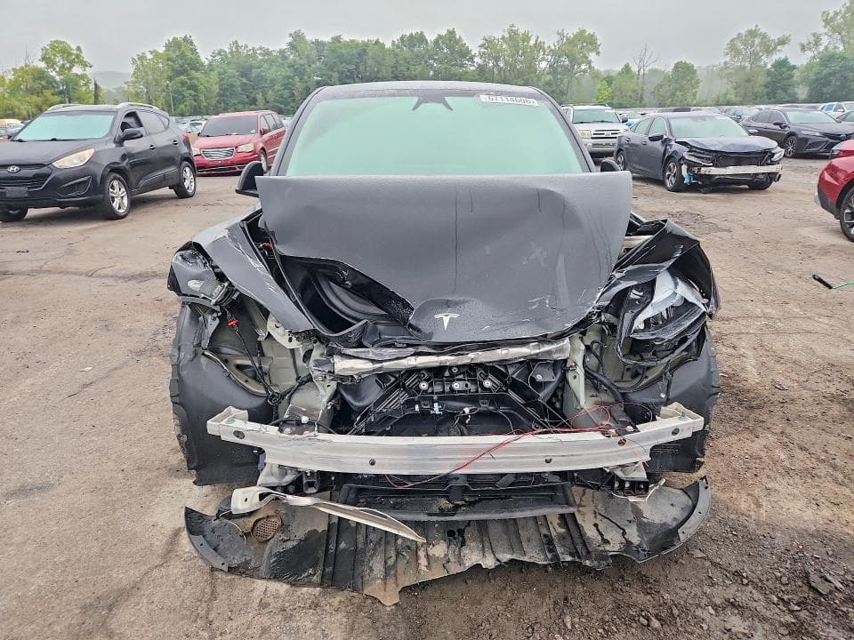 2025 TESLA MODEL Y 5