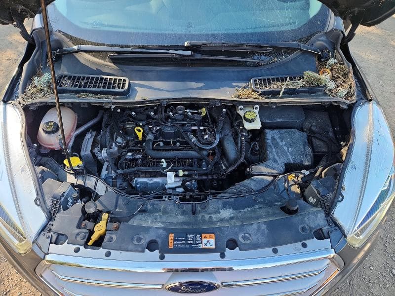 2019 FORD ESCAPE SEL 12