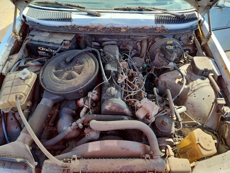 1984 MERCEDES-BENZ 300 DT 11