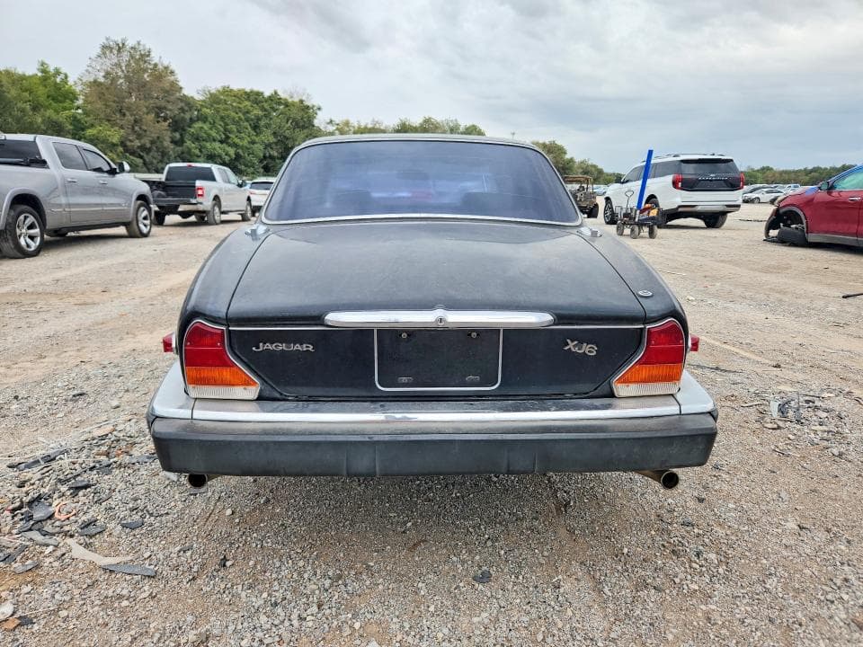 1984 JAGUAR XJ6 6