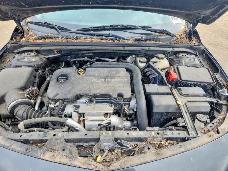 2017 CHEVROLET MALIBU LT 11