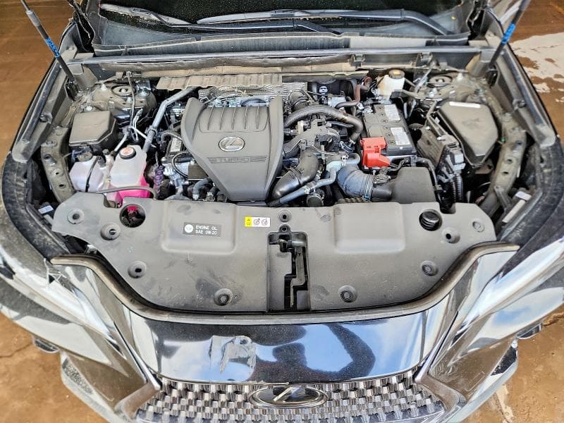 2026 LEXUS NX 350 BASE 11