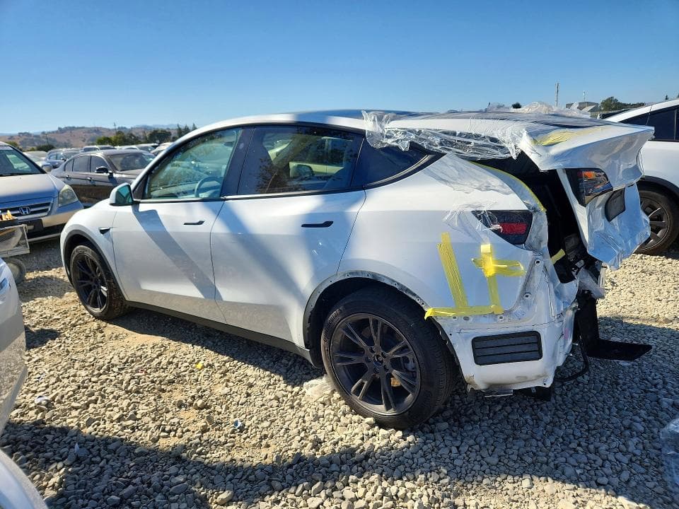 2024 TESLA MODEL Y 2