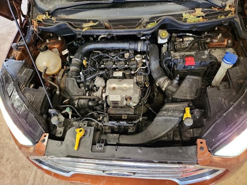 2020 FORD ECOSPORT SE 12