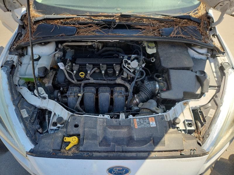 2017 FORD FOCUS SE 11
