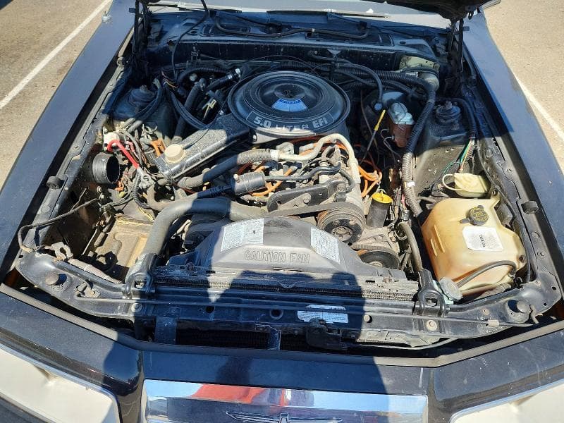 1984 FORD THUNDERBIRD 11