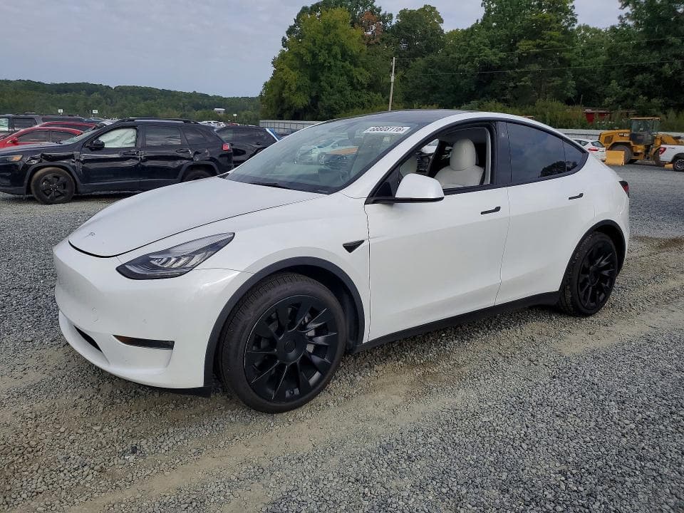2021 TESLA MODEL Y - 1