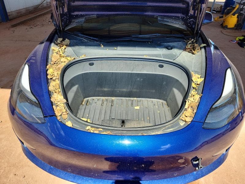 2022 TESLA MODEL 3 11