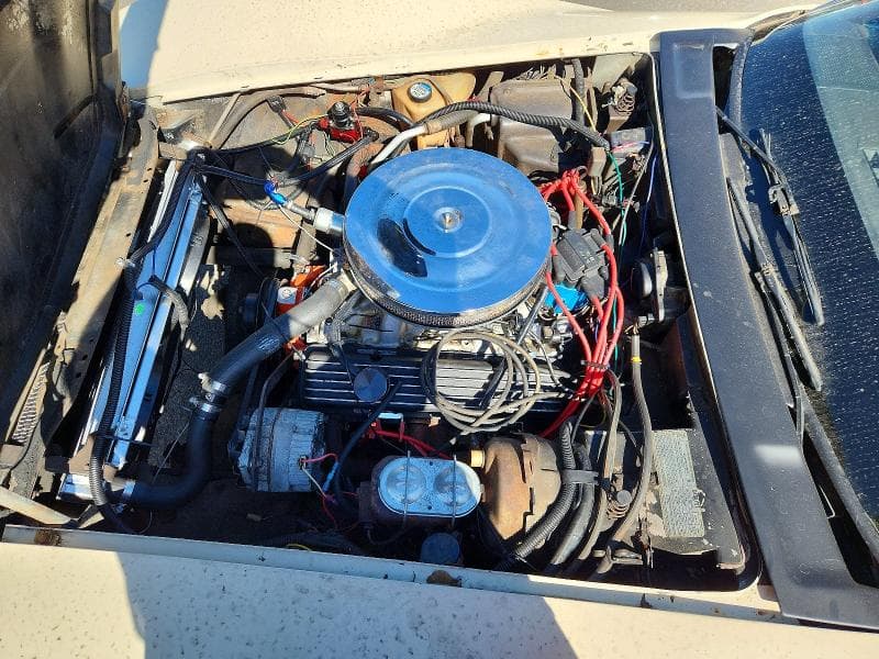 1978 CHEVROLET CORVETTE 11
