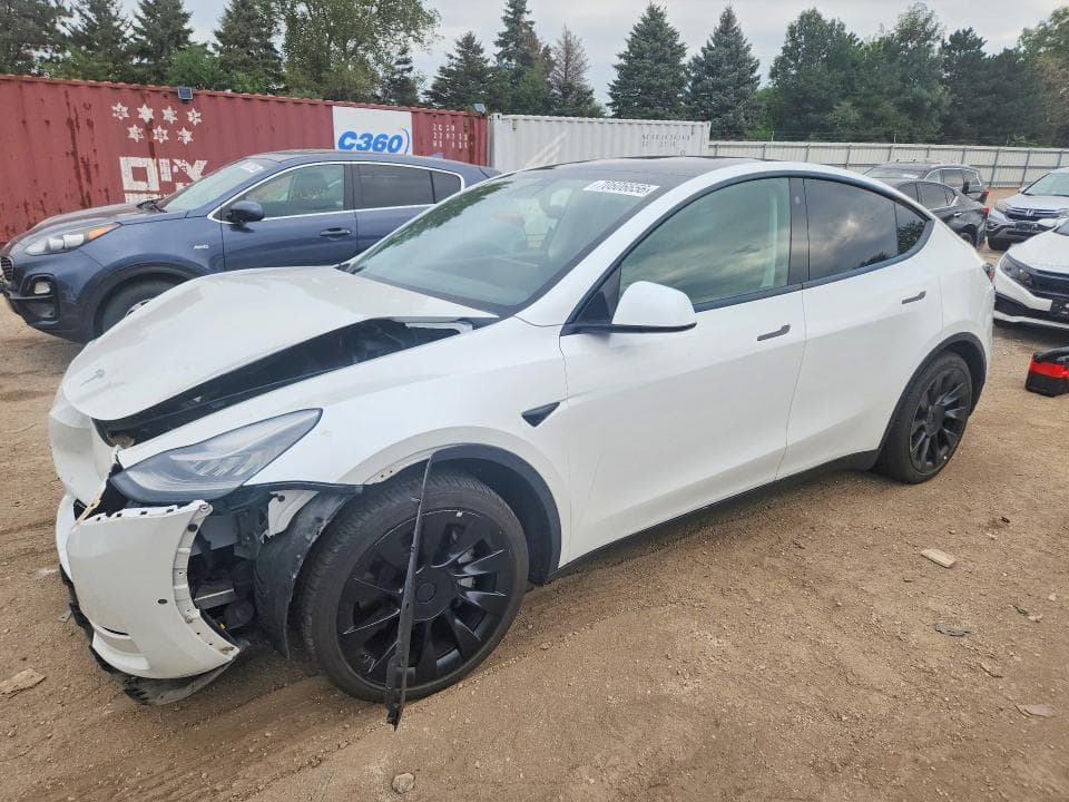 2021 TESLA MODEL Y - 1