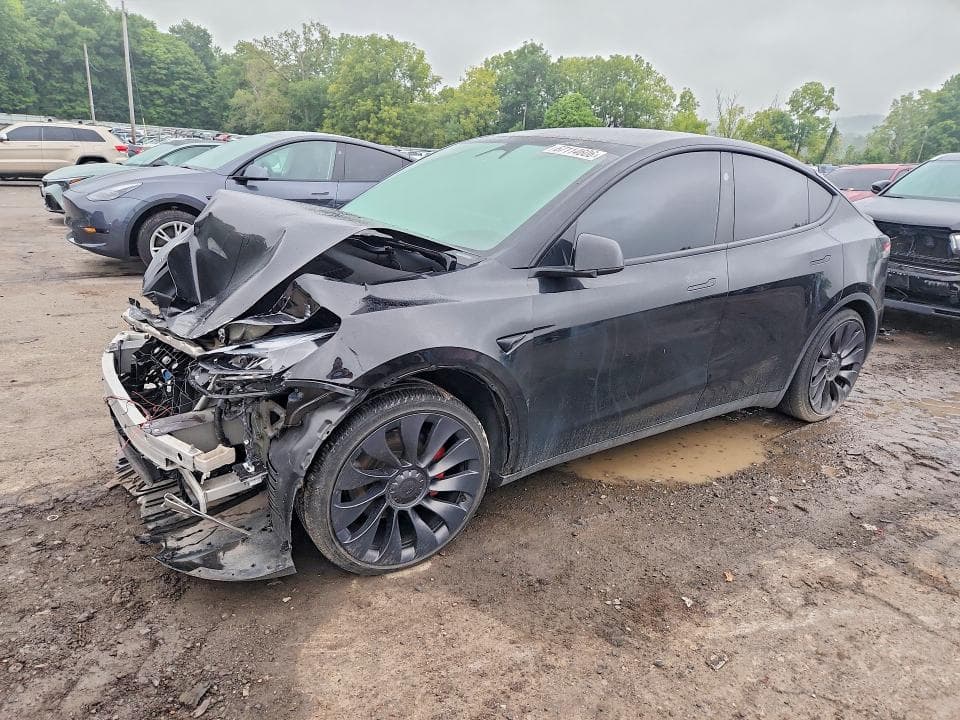 2025 TESLA MODEL Y - 1