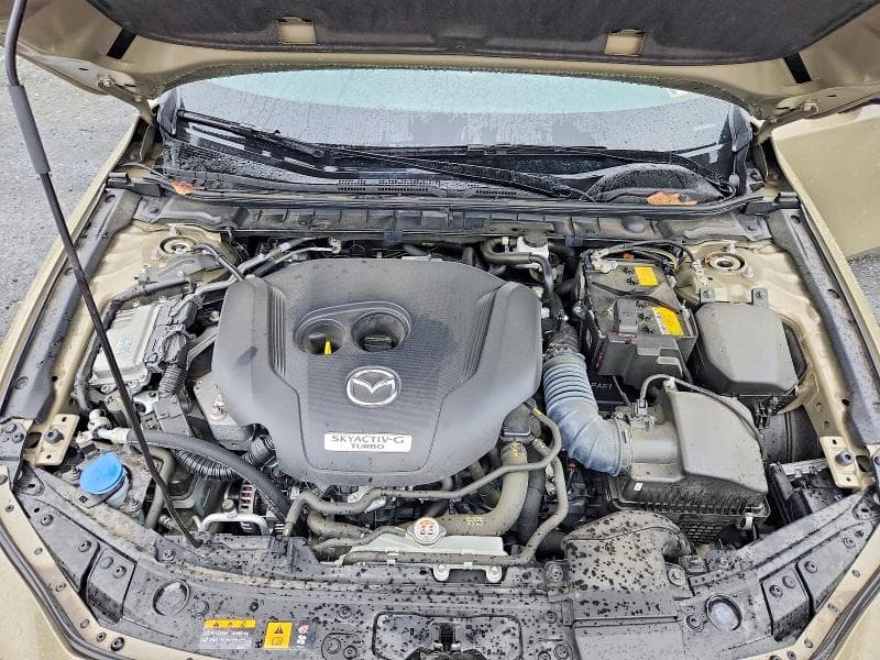 2025 MAZDA 3 CARBON TURBO 11