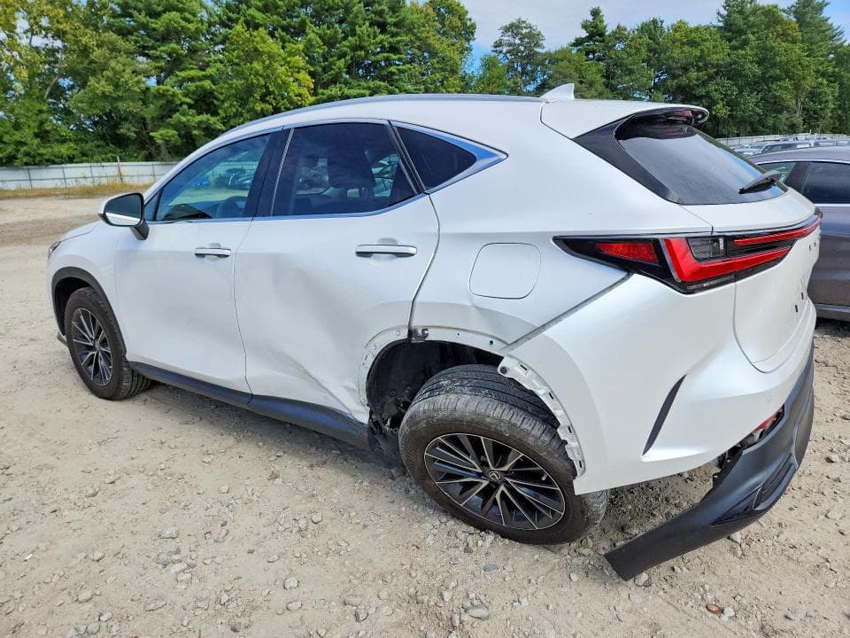 2022 LEXUS NX 350 2
