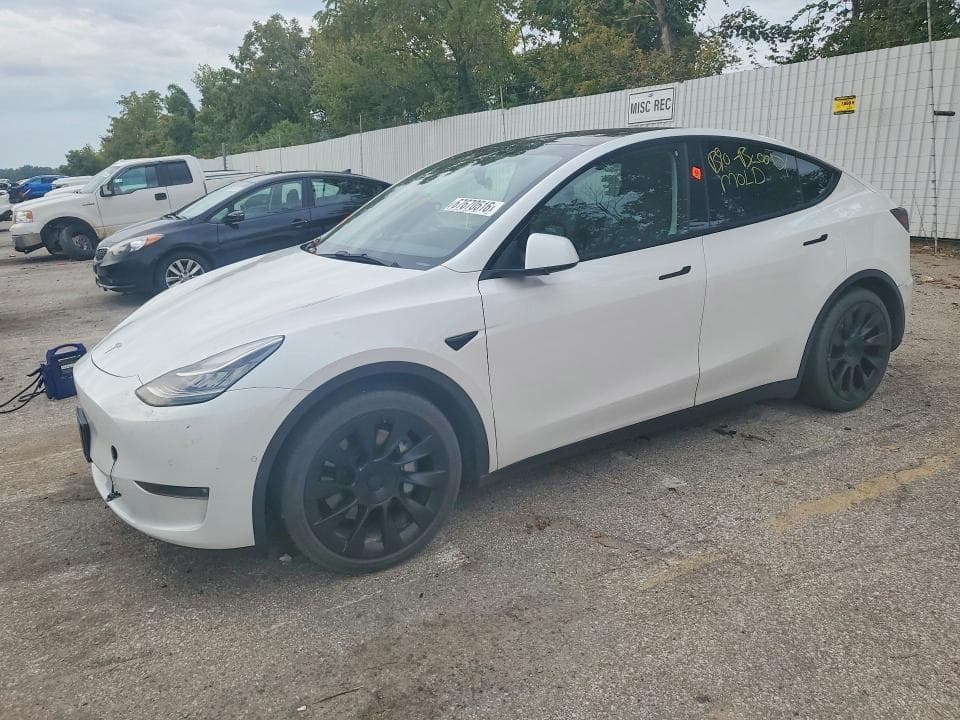 2021 TESLA MODEL Y - 1