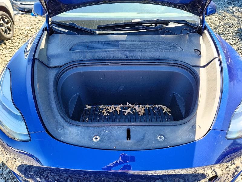 2021 TESLA MODEL Y 11