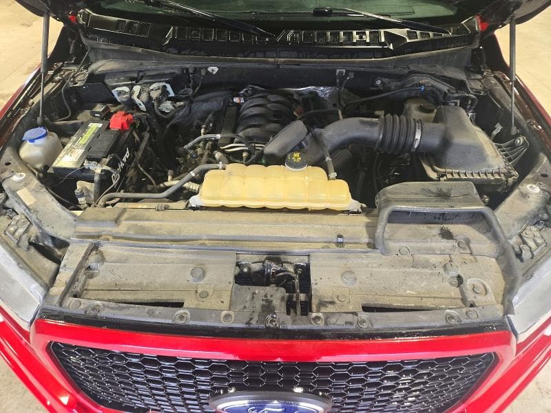 2019 FORD F150 SUPERCREW 11