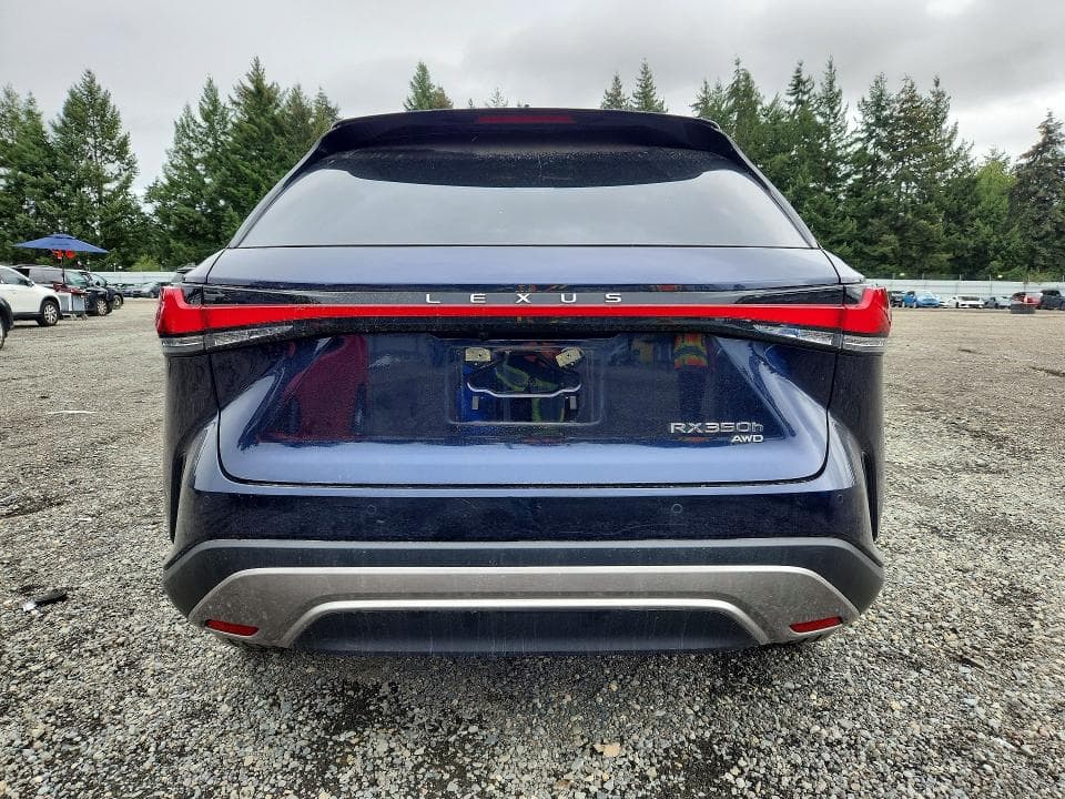 2024 LEXUS RX 350H PREMIUM 6