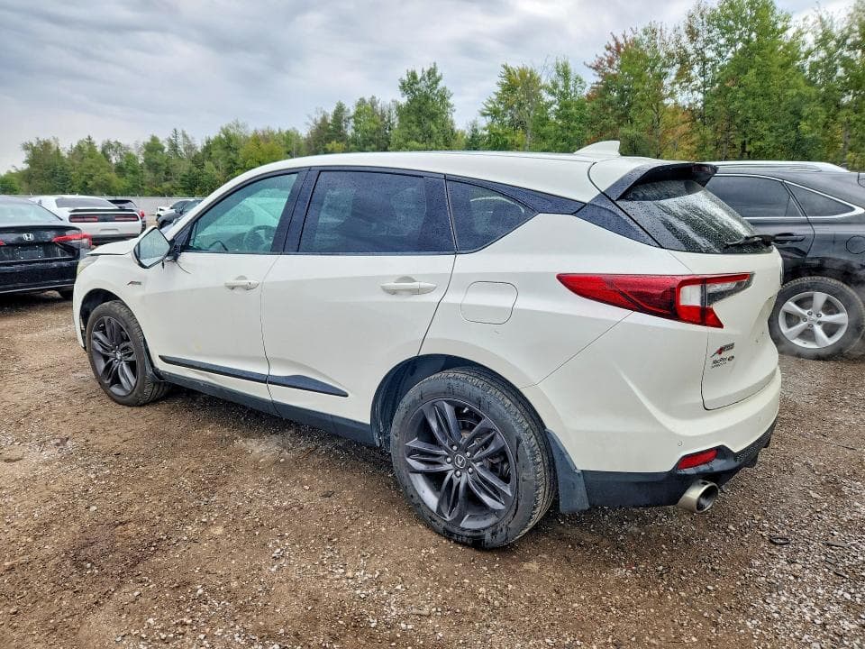 2019 ACURA RDX A-SPEC 2