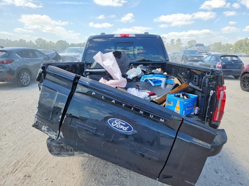 2026 FORD F150 PLATINUM 6